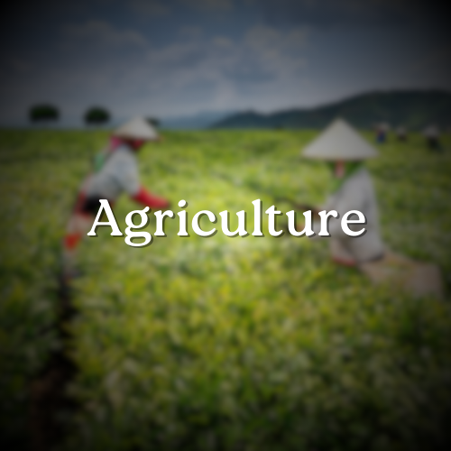 Agriculture