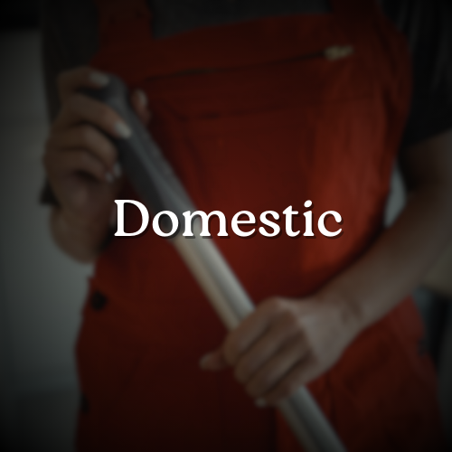 Domestic