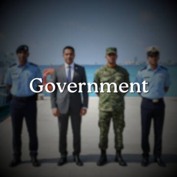 Government